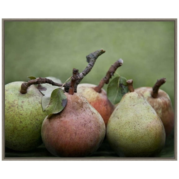 Amanti Art Comice Pears I Framed Canvas Wall Art Print