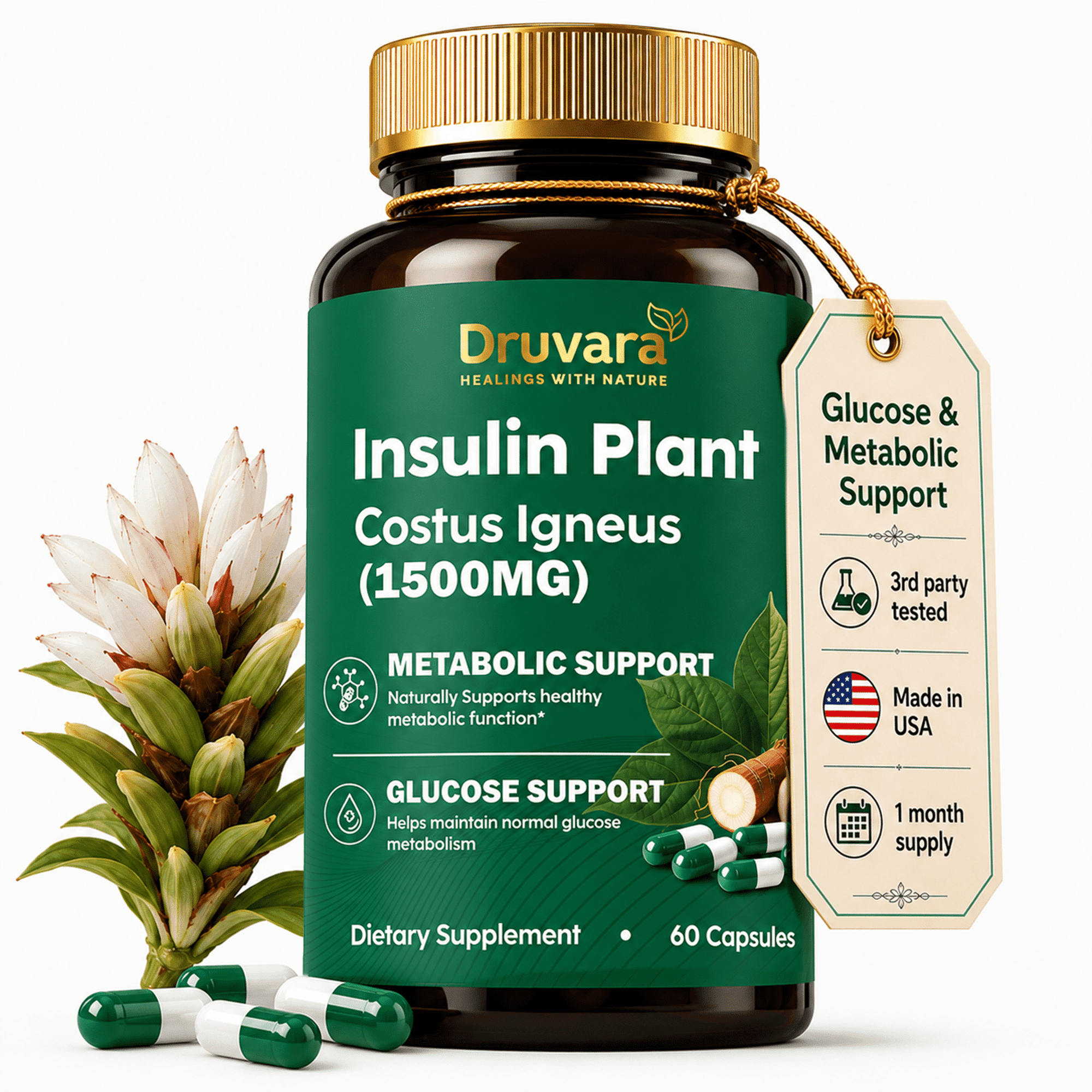 Druvara Costus Igneus Capsules - Insulin Plant Supplement, 60 Capsules