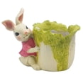 thumbnail image 2 of Mini s De Resina Con Conejo, 2 Uds., Contenedor Con Orificio De Zulema Contenedor suculento, 2 of 8