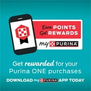 (2 pack) Purina ONE Plus, Healthy Kitten Formula, Dry Kitten Food, Chicken, 16 lb Bag
