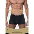 thumbnail image 6 of QIYULANC Ice Silk Men Underwear Pack Breathable Brief Mesh With Pouch Moisture-Wicking Man Underpant 3 PACK, 6 of 10