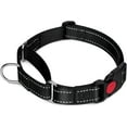 thumbnail image 1 of HAHDAXIA Collier Martingale pour Chiens, Collier Réfléchissant pour Chien Robuste pour la Sécurité, Boucle à Dégagement Rapide, Colliers Réglables en Nylon pour Chien Chiot, Entraînement à la Marche, Noir, XS, 1 of 7