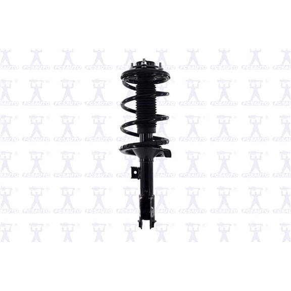 Suspension Strut and Coil Spring Assembly
