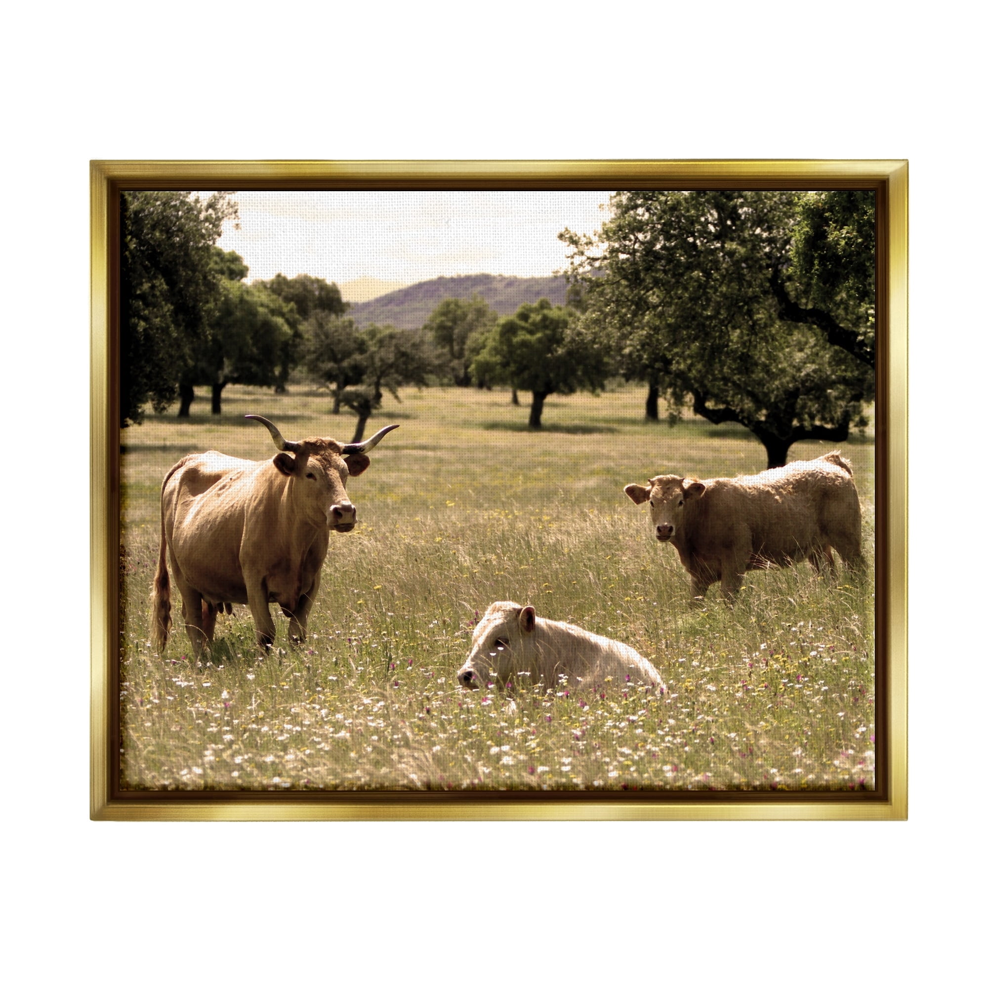 Stupell Industries Three Cattle Relaxing Grassland Pasture Rural Farm Trees Photograph Metallic Gold Floating Framed Canvas Print Wall Art, Design by Daphne Polselli