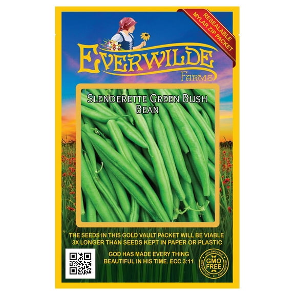 Everwilde Farms - 100 Slenderette Green Bush Bean Seeds - Gold Vault Jumbo Bulk Seed Packet