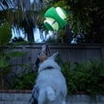 thumbnail image 2 of Pelota de Juguete Chuckit! MAX Glow Large para Perros, 2 of 5
