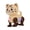 White, variant on Electric Crawling Tiger Toy for Babies, 5.24x3.74x6.1 Inch Musical Walking Toy with LED Lights, Interactive Learning Toy