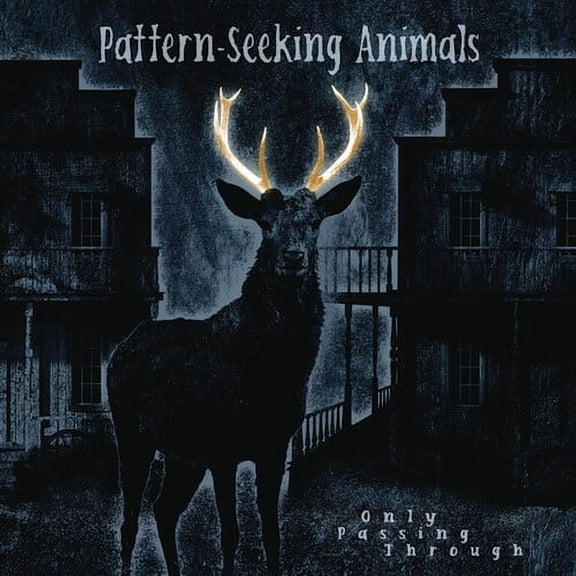 Pattern-Seeking Animals - Only Passing Through - Music & Performance - CD