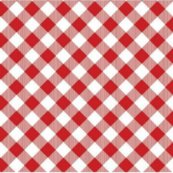 Cotton Chillin & Grillin Gingham Picnic Checkered Red on White Benartex Cotton Fabric Print by the Yard (14359-19)