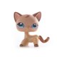 thumbnail image 1 of Chat Original LPS Little Pet Shop lot collection de figurine,petit animalerie chatons à poils courts chien épagneul vieux debout, poupées modèle figure action pour jouets et cadeaux, zhangyuxiang LED, 1 of 2