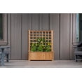 thumbnail image 2 of Vita 38"L x 19"W x 47"H Rosewood Cedar Planter with Trellis, Golden Brown, VT17735, 2 of 9