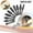 Multicolor, variant on Ckraxd 10pcs Wood Carving Rotary Files Set for Woodworking - Grinding, Polishing Tools for DIY Projects and Crafts - High Speed Steel Durable Bits
