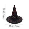 thumbnail image 3 of Fllostpr Halloween Crow Witch Hat, Quilted Embroidered Hat Dcor for Parties Renaissance Fairs Gothic Gatherings Themed Dress-Up, 16.9x11.8", 3 of 6