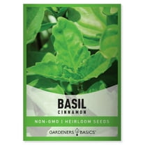 Cinnamon Basil Seeds