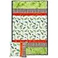 thumbnail image 3 of Minky Picture Perfect Leap Frog Cuddle Kit Quilt Kit Shannon Fabrics, 3 of 4