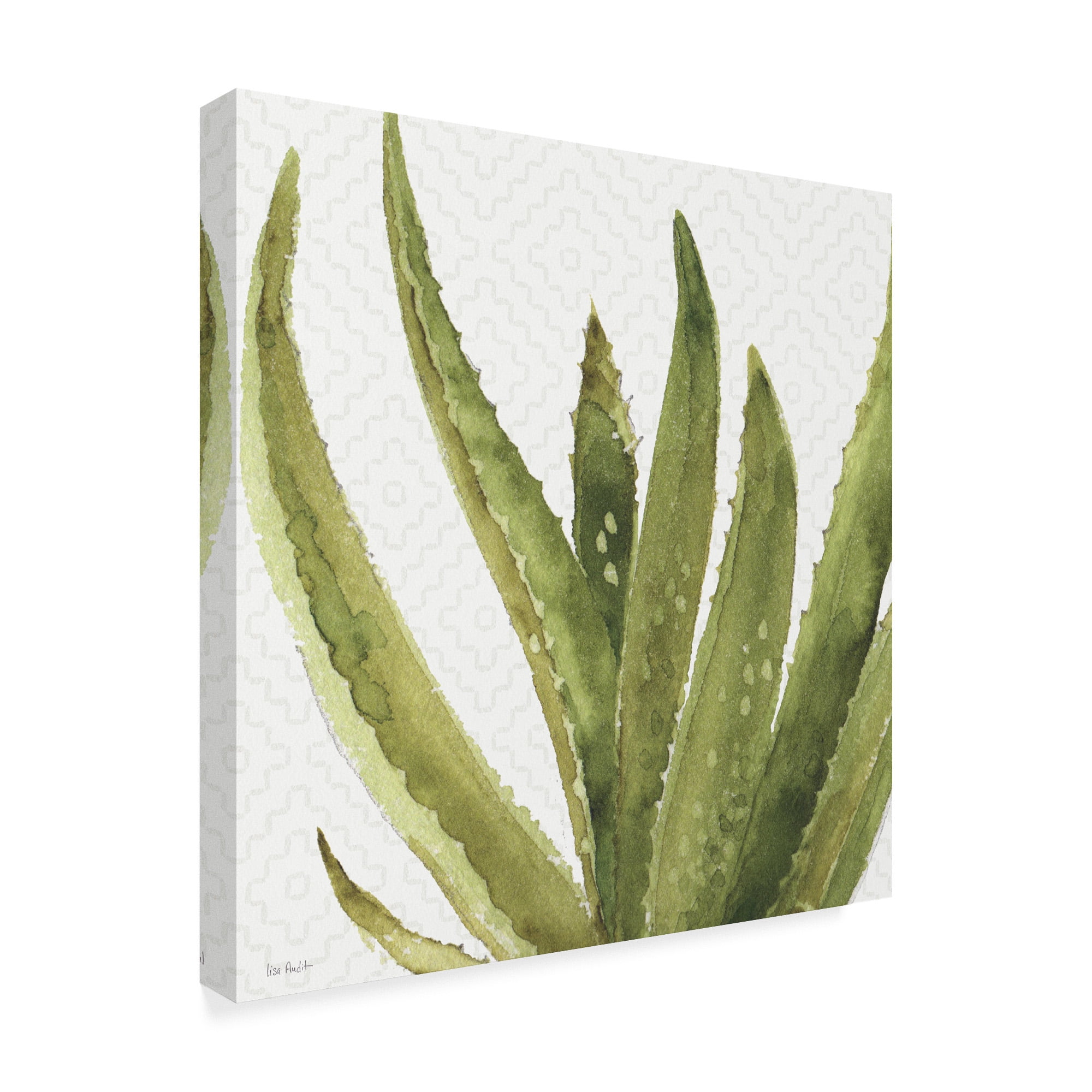 Trademark Fine Art 'Mixed Greens XXXVIII' Canvas Art by Lisa Audit