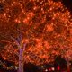thumbnail image 4 of Cadena de luces Decorativas navideñas Twinkle Star 300 LED naranja 99 pies, 4 of 5