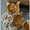 earrings, variant on 1 Pair of Exquisite Egyptian Cat-shaped Ear Clips, Earrings for Women-ear-clip