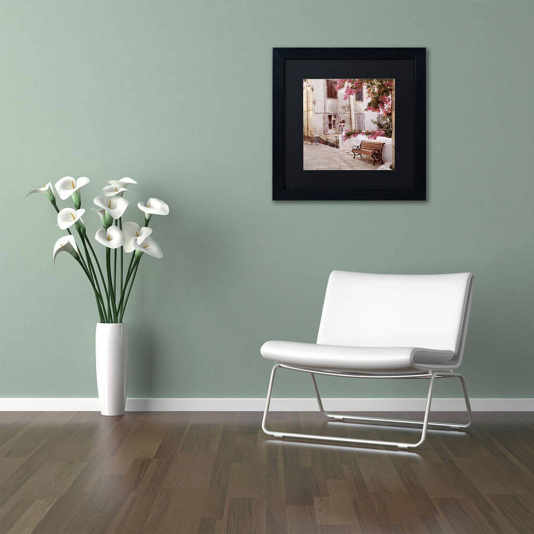 Trademark Fine Art "Provence I" Canvas Art by Alan Blaustein, Black Matte, Black Frame