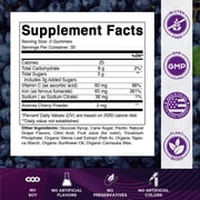 Vitamatic Iron 65 mg Gummies Supplement for Women & Men - 60 Vegan Gummies - Great Tasting Iron Gummy Vitamins with Vitamin C (1)