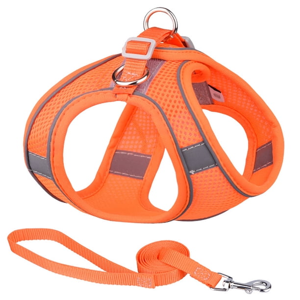 Arnés y correa de malla suave para pasear, para perros pequeños y gatos domésticos.