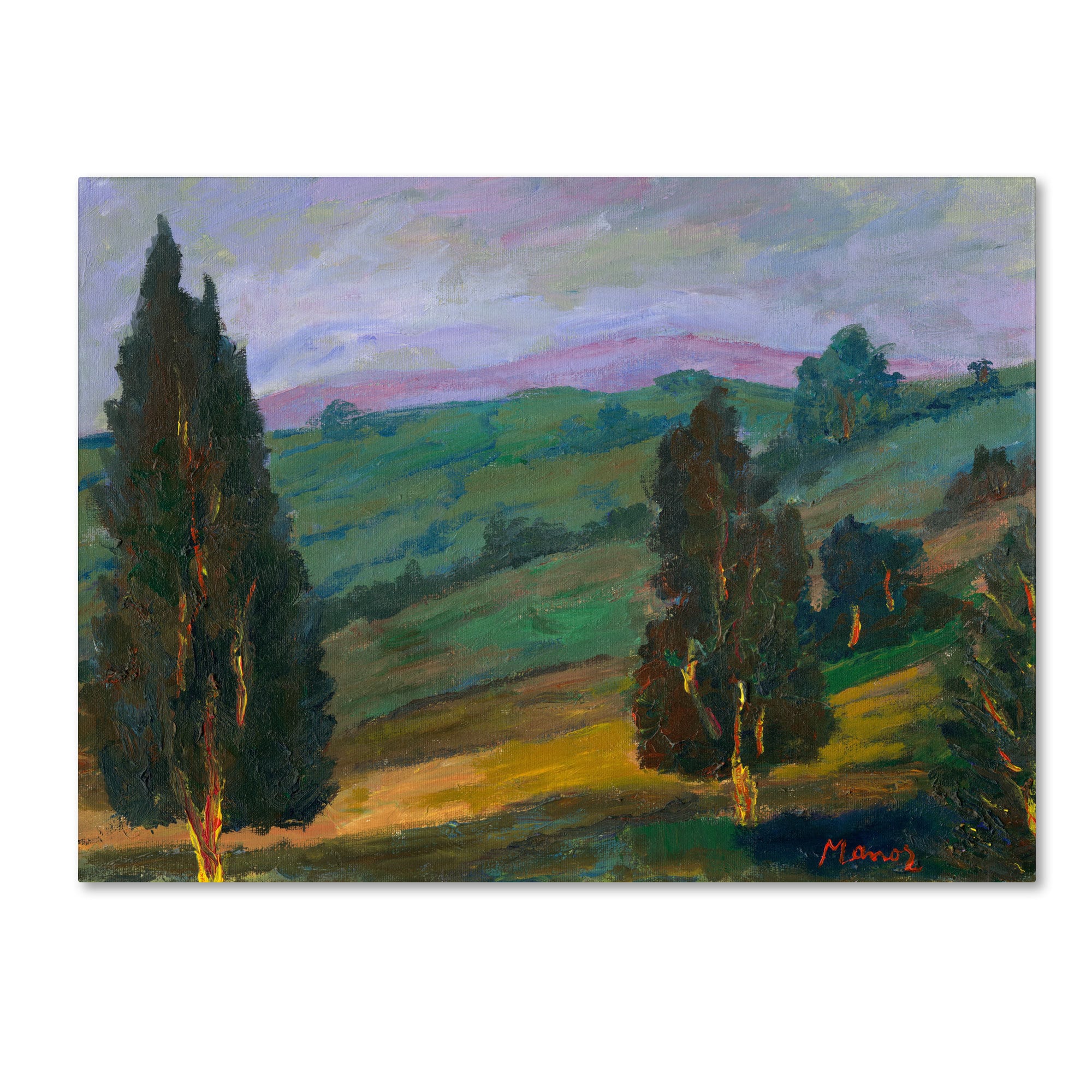 Trademark Fine Art "Island Bay" Canvas Art by Manor Shadian