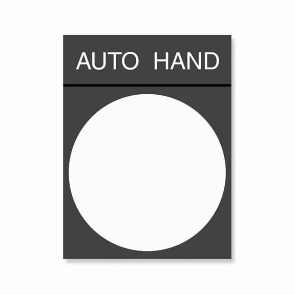 Schneider Electric Legend Plate, Rectangular, Auto-Hand ZBY2364