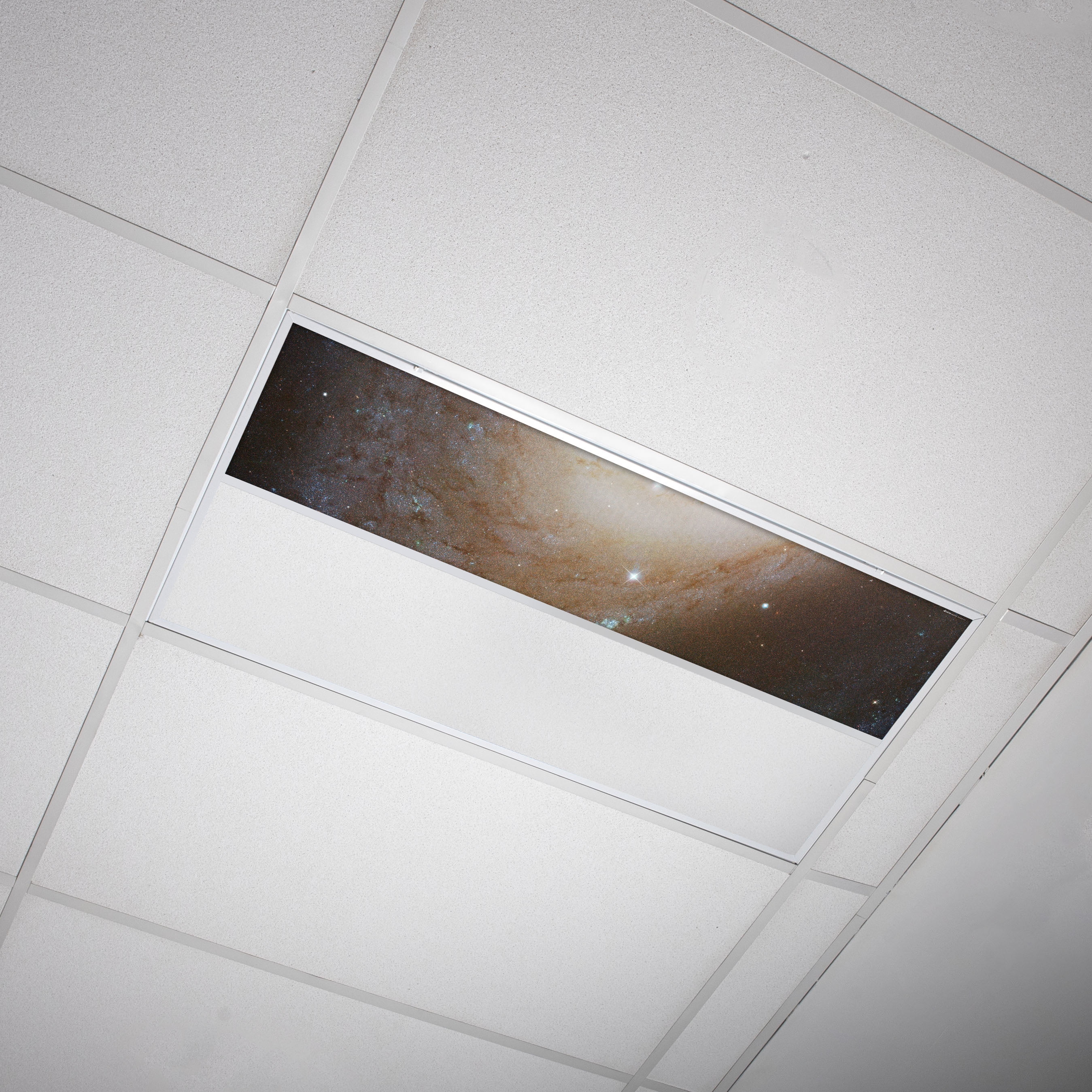 How To Put In A Fluorescent Light Cover / How To Change A Light Bulb