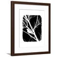 thumbnail image 1 of White Bird, Animals Framed Art Print Wall Art by Ricki Mountain Sold by Art.Com, 1 of 5