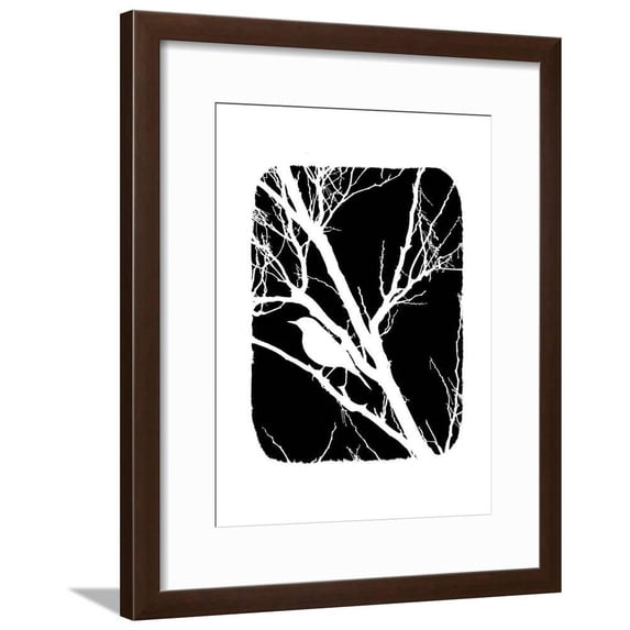 White Bird, Animals Framed Art Print Wall Art by Ricki Mountain Sold by Art.Com