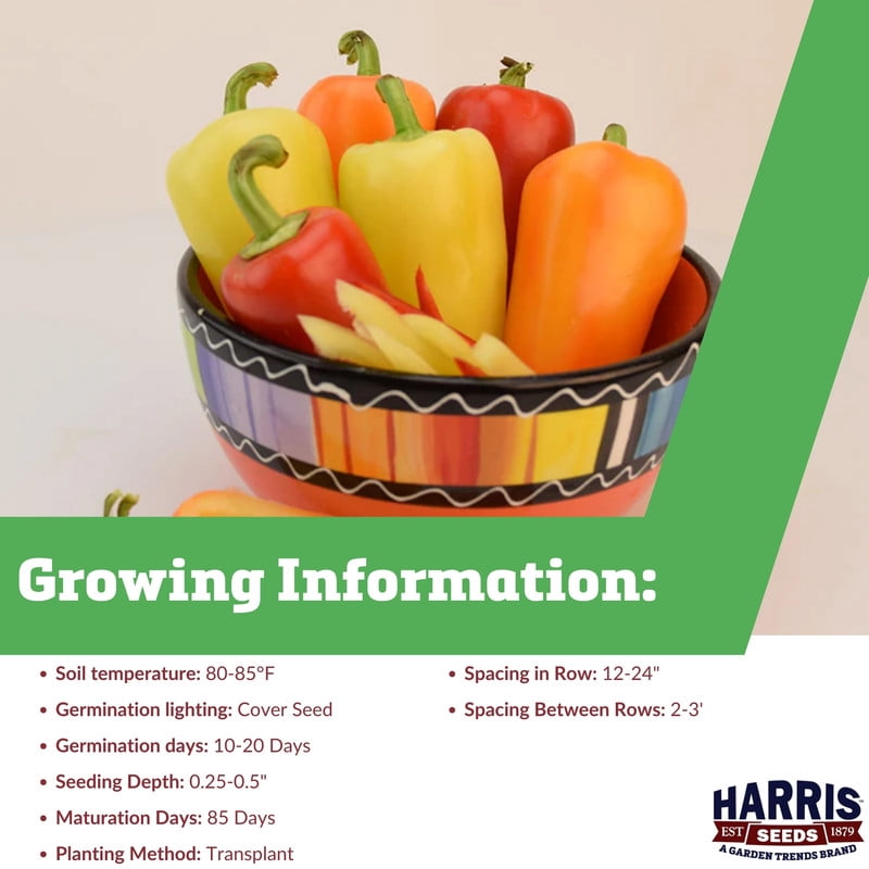 Harris Seeds Mariachi Pepper, Non-GMO Santa Fe Grande Type Medium Heat Variety, Treated, 250 Count