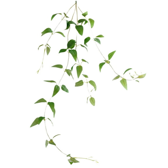 WRITWAA Hanging Fake Plants Lifelike Clematis Plant Green 1Pc