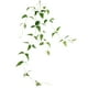 thumbnail image 1 of 1 UNID planta artificial decorativa con alambres de hierro Clematis Fake Clematis hoja vid para el hogar, 1 of 7