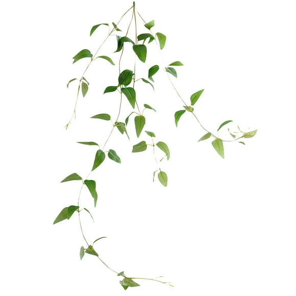 GOOHOCHY 1 pieza de clemátide artificial de hoja de vid decorativa de ratán para pared, accesorio para fotos