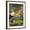 Brown Frame, variant on Art.com New Neighbor Art Print by Barry Kite, 18" x 24"