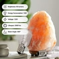 thumbnail image 6 of E12 T20 Salt Rock Lamp Bulb 120V 15W High Output Warm White Light 2700K 80lm for Himalayan Salt Lamps & Baskets, Scentsy Plug-in & Wax Warmers, Night Lights - PACK of 8, 6 of 6