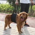 thumbnail image 2 of Dog Auxiliary Belt, 2 of 3