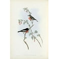 thumbnail image 2 of Gould, John 22x32 Gold Ornate Wood Framed with Double Matting Museum Art Print Titled - Scarlet Breasted Robin, 2 of 4