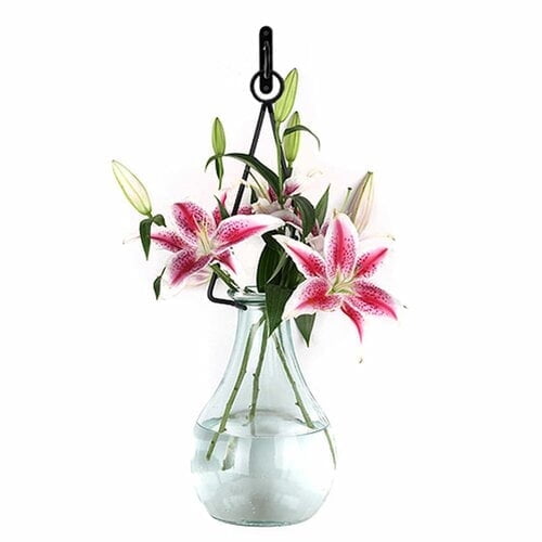 Couronne Co Gourd Recycled Glass Wall Vases for Flowers, Decorative Vases for Home Decor with Metal Holder - 142 oz