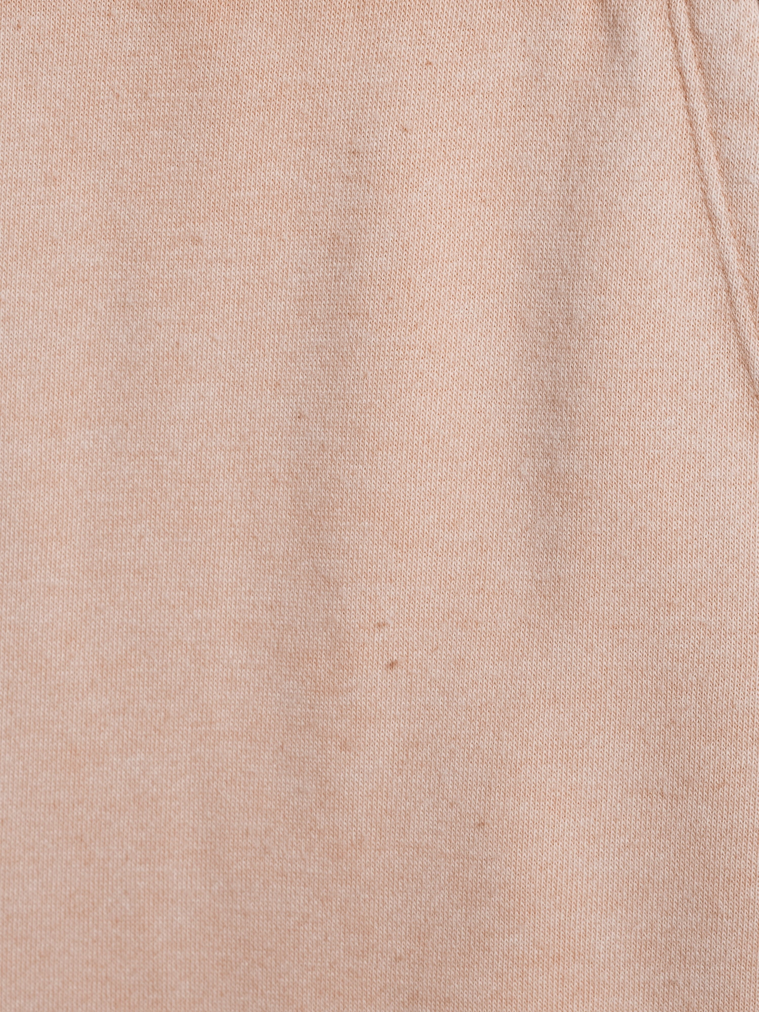 Secret Treasures Women's and Women's Plus Lounge Joggers