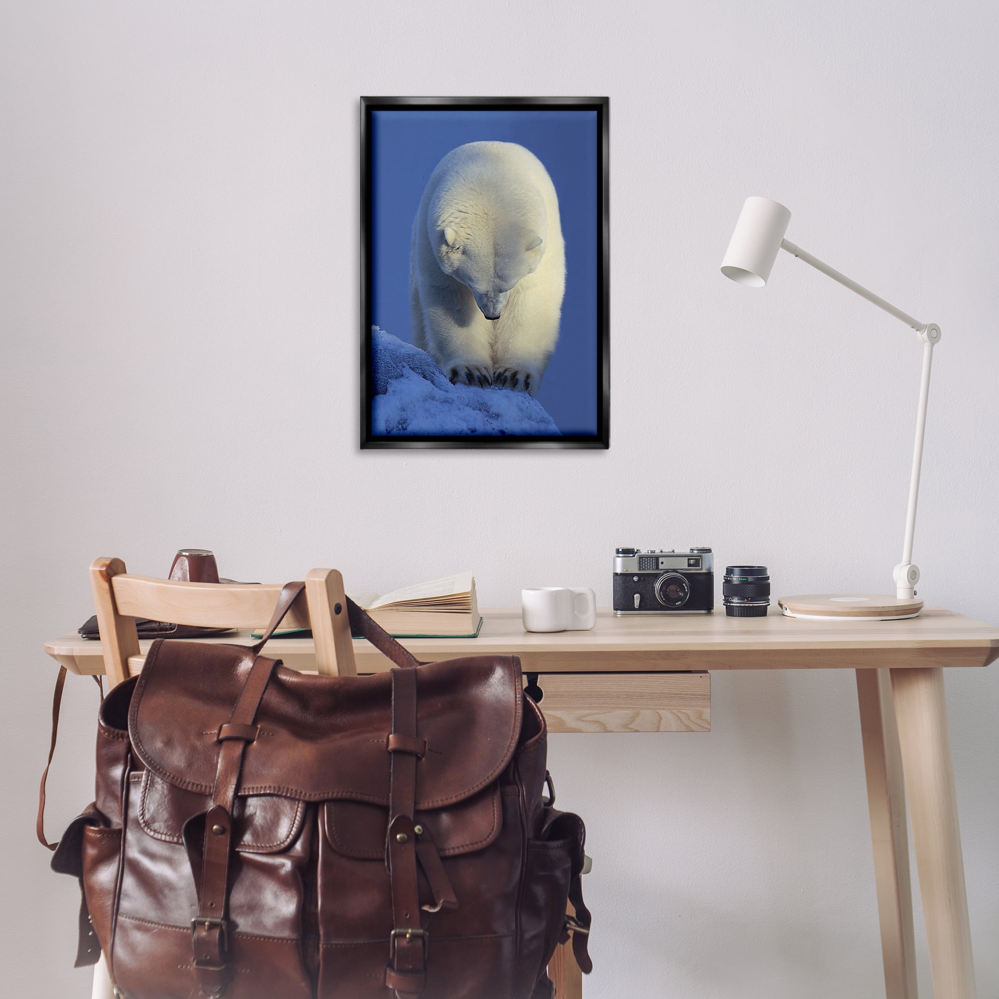 Stupell Industries Contemplation Polar Bear Animals Photography Black Floater Framed Canvas Art Print Wall Art, 21 x 31