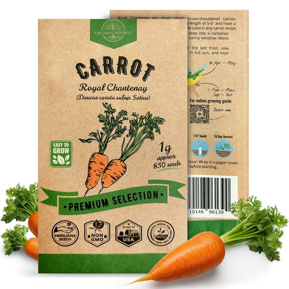 Organo Republic Royal Chantenay Carrot Seeds – 850  Non-GMO Heirloom Seeds, 1G Packet for Planting Vegetables Indoors & Outdoors, Sweet and Crunchy Root for Home Garden