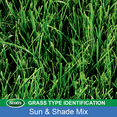 thumbnail image 4 of Scotts Turf Builder Grass Seed Sun & Shade Mix, 3 lb., Seeds up to 1,200 sq. ft., 4 of 14