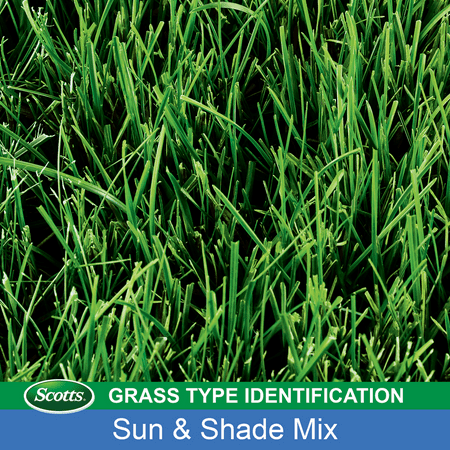 Scotts - Turf Builder Grass Seed Sun & Shade Mix 3 lb. - Tan