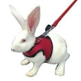 thumbnail image 2 of Walbest Rabbit Harness with Lead Leash Set, Soft Breathable Mesh Pet Chest Harness Vest Walking for Kittens, Bunny, Hamster, Guinea Pig, Ferret and Other Small Animals (Red, M), 2 of 7