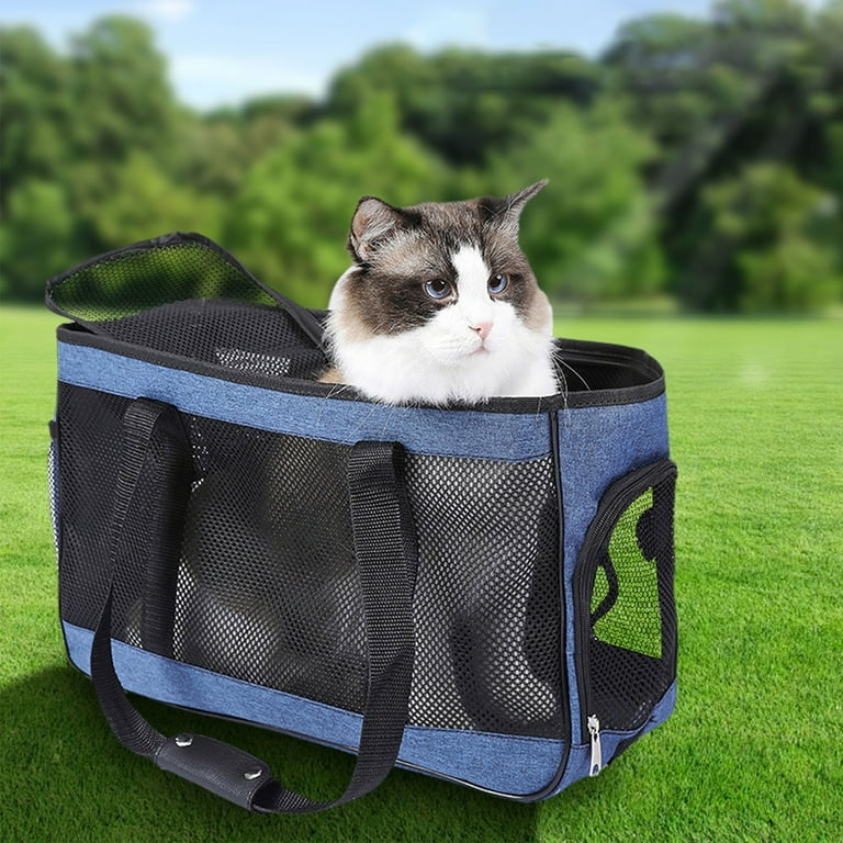 Cat travel case discount