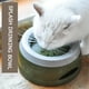 thumbnail image 1 of Cuenco para gatos y mascotas de viaje al aire libre, cuenco alimentador de productos para mascotas de agua potable para cachorros Tmvgtek Para estrenar, 1 of 7