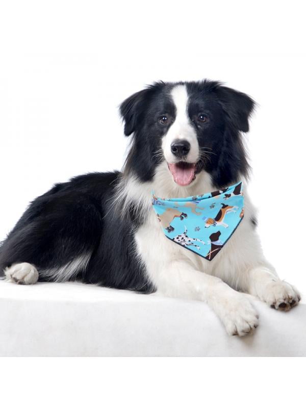 walmart dog supplies