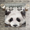 thumbnail image 3 of Ambesonne Animal Quilted Bedspread Set 3 Pcs, Watercolor Panda Bear, King Size, Beige White and Black, 3 of 3