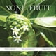 thumbnail image 5 of Aceite facial KORA Organics Noni Glow hidratante con antioxidantes, 10 ml, 5 of 9